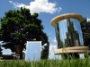 mirrormetree