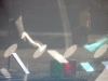 screen_shapes